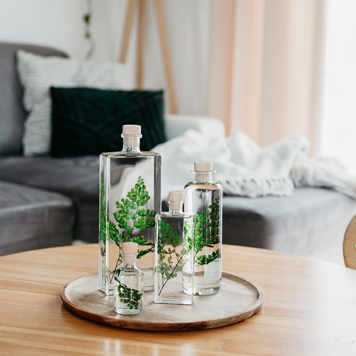 Plantes immerg&eacute;es