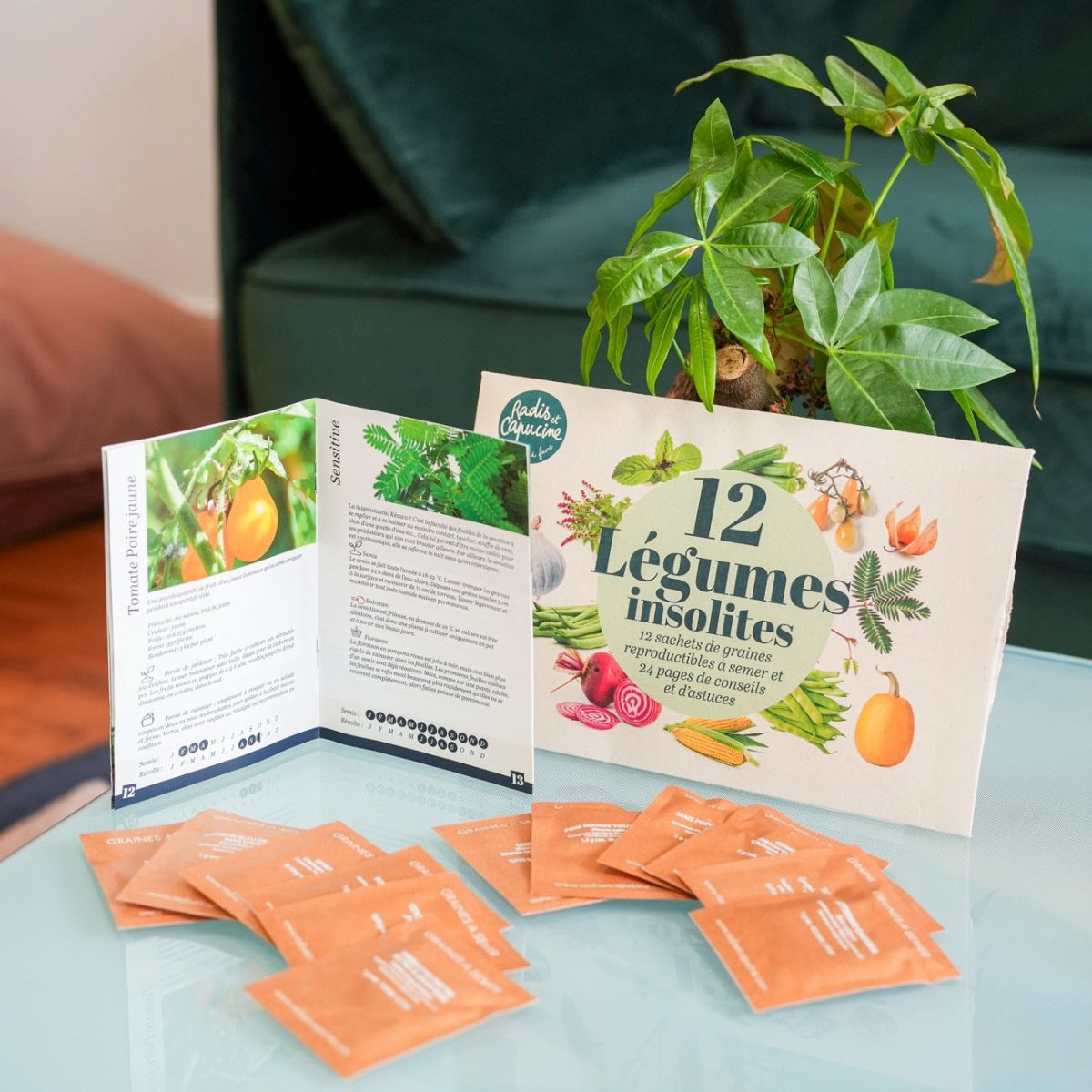 Sachets graines l&eacute;gumes insolites